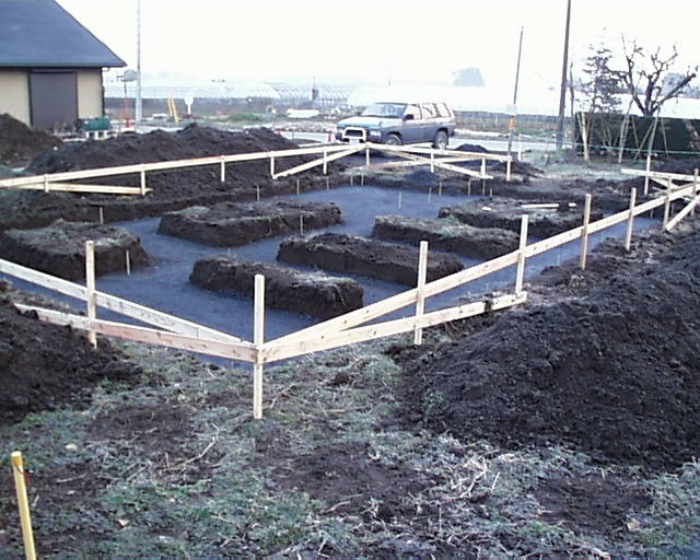 �Ӑ΂P