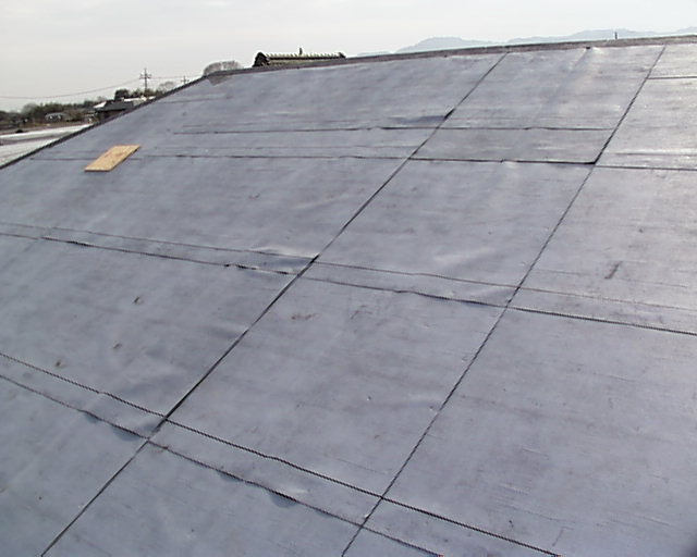 roof